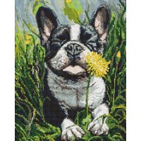 Набір з алмазною мозаїкою «Собака і кульбаба» 40х50 см, ТМ Ідейка