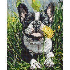Набір з алмазною мозаїкою «Собака і кульбаба» 40х50 см, ТМ Ідейка