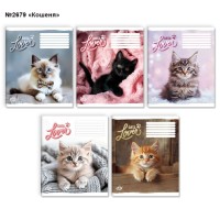 Зошит на 36 аркушів у клітинку «Кошеня» №2679, ТМ Brisk