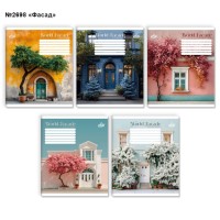 Зошит на 60 аркушів у клітинку «Фасад», №2698, ТМ Brisk