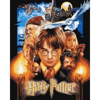 Картина за номерами «WB Гаррі Поттер: Постер» 40х50 см з фарбами металік, ТМ Ідейка