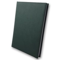 Щоденник недатований «Inflok» А6 на 176 аркушів зелений, ТМ Brisk