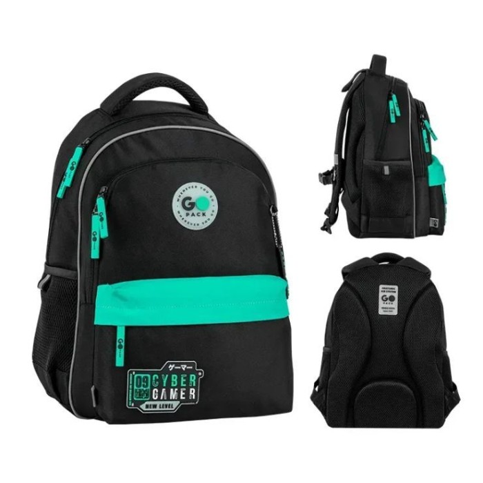 Рюкзак «New Level» 41х29х17 см, 182M-8, GoPack Education