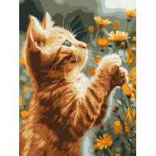 Картина за номерами «Рудий пухнастик» 30х40 см, ТМ Ідейка