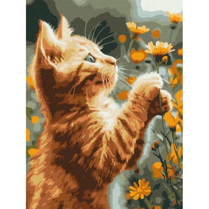 Картина за номерами «Рудий пухнастик» 30х40 см, ТМ Ідейка