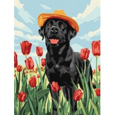 Картина за номерами «Чарівний лабрадор» 30х40 см, ТМ Ідейка