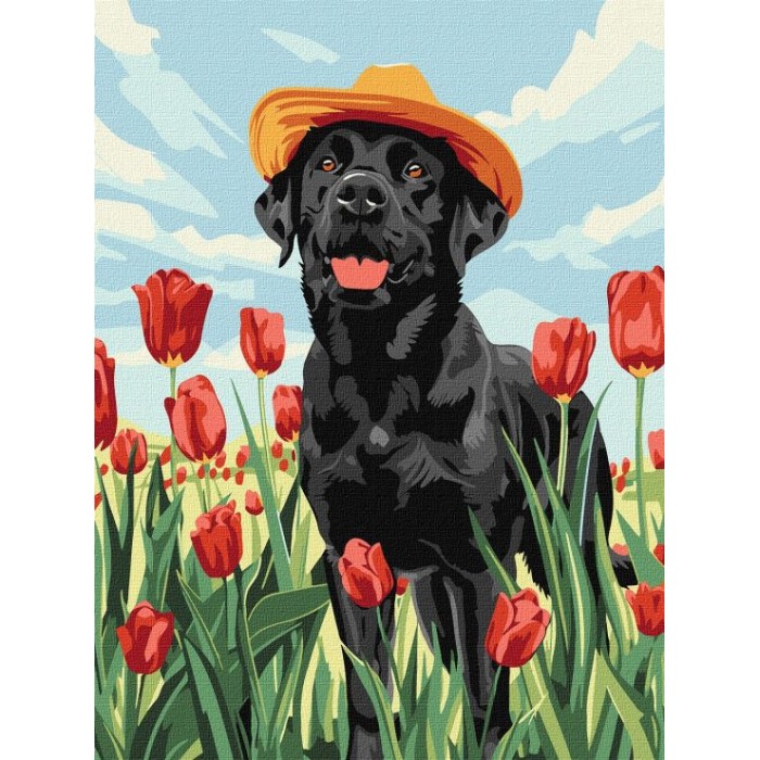 Картина за номерами «Чарівний лабрадор» 30х40 см, ТМ Ідейка