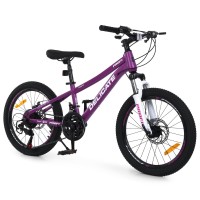 Велосипед PROFI DELICATE 20 д. DL-2002 (1 шт) сталева рама 11