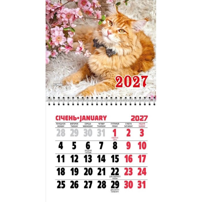 Календар магнітний «Котики» 11х20 см