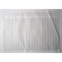 Пустографка двостороння А3, офсет