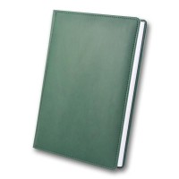 Щоденник недатований «WINNER» А5 на 168 аркушів, зелений, ТМ Brisk