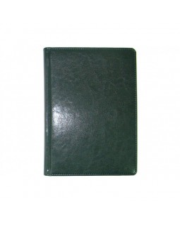 Дневник датированный «Sarif», 168 листов, А5, зеленый, ТМ Brisk