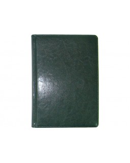 Дневник недатированный А6, 176 л., 95х135 мм, «Sarif», зеленый