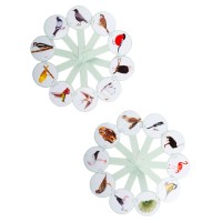 Віяло «Птахи»