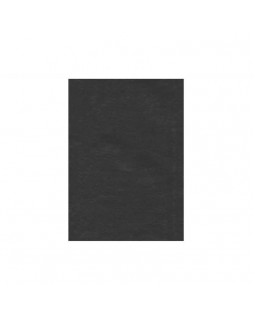Фетр 20 х 30 см, 2 мм, черный, 10 листов, Santi