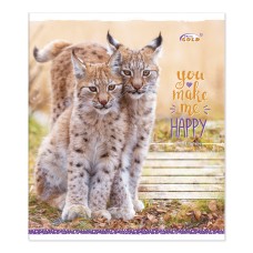 Зошит, 24 аркуші, лінія, «Мікс дівчата», №3005, ТМ Gold Brisk